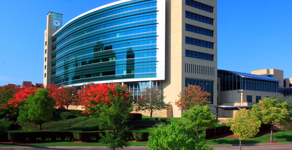 Exterior and Interior Landscaping